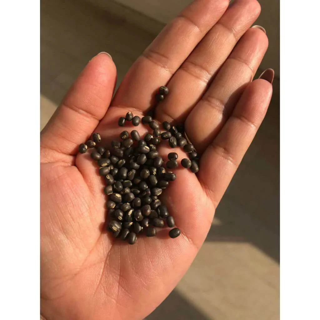 iYURA - Balaayah Black Gram Booster 📦