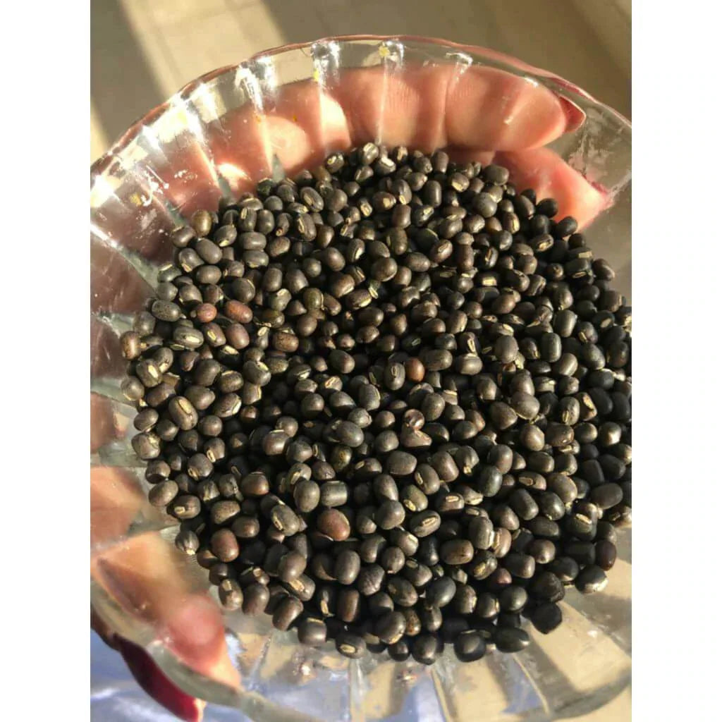 iYURA - Balaayah Black Gram Booster 📦